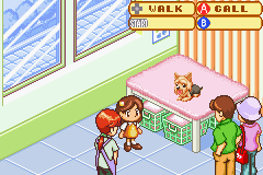 Dogz 2 - GBA - Nintendo Game Boy Advance - Ingames