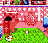 Hamster Paradise - GBC - Nintendo Game Boy Color - Ingames