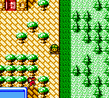 Revelations: The Demon Slayer - GBC - Nintendo Game Boy Color - Ingames