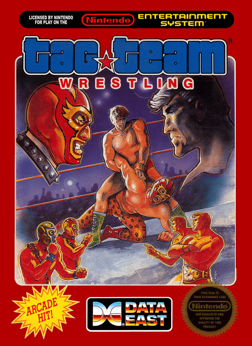 Tag Team Wrestling - NES - Nintendo Entertainment System