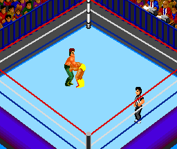 Fire ProWrestling 2nd Bout - PCE - NEC PC-Engine HuCard - Ingames