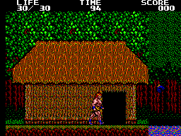 Danan: The Jungle Fighter - SMS - Sega Master System - Ingames