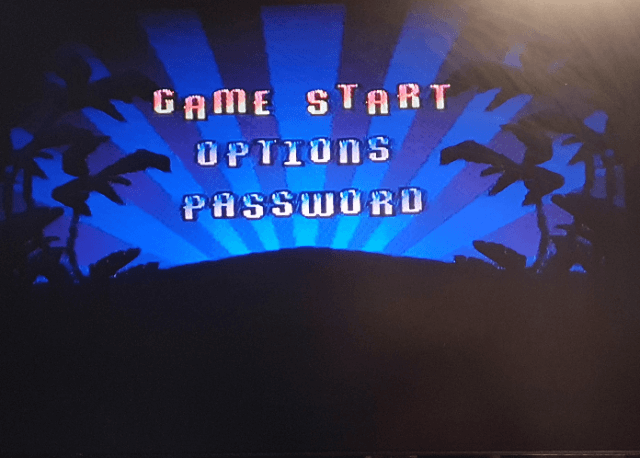 Disney Donald in Maui Mallard - SNES - Nintendo Super Nintendo Entertainment System - Titles