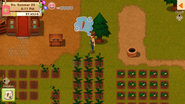 Harvest Moon: Licht der Hoffnung - SWITCH - Nintendo Switch - Ingames