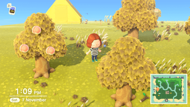 Animal Crossing: New Horizons - SWITCH - Nintendo Switch - Ingames