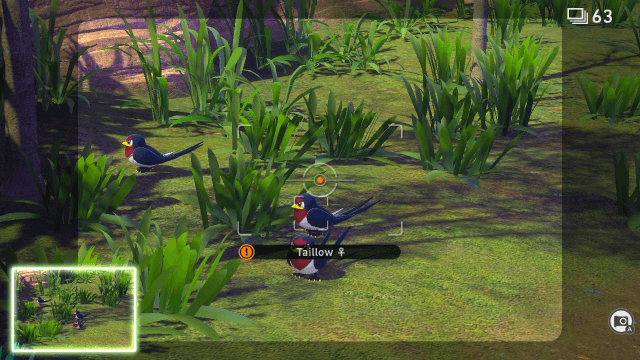 New Pokémon Snap - SWITCH - Nintendo Switch - Ingames